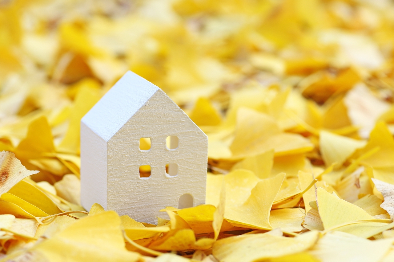 土地のイメージ 