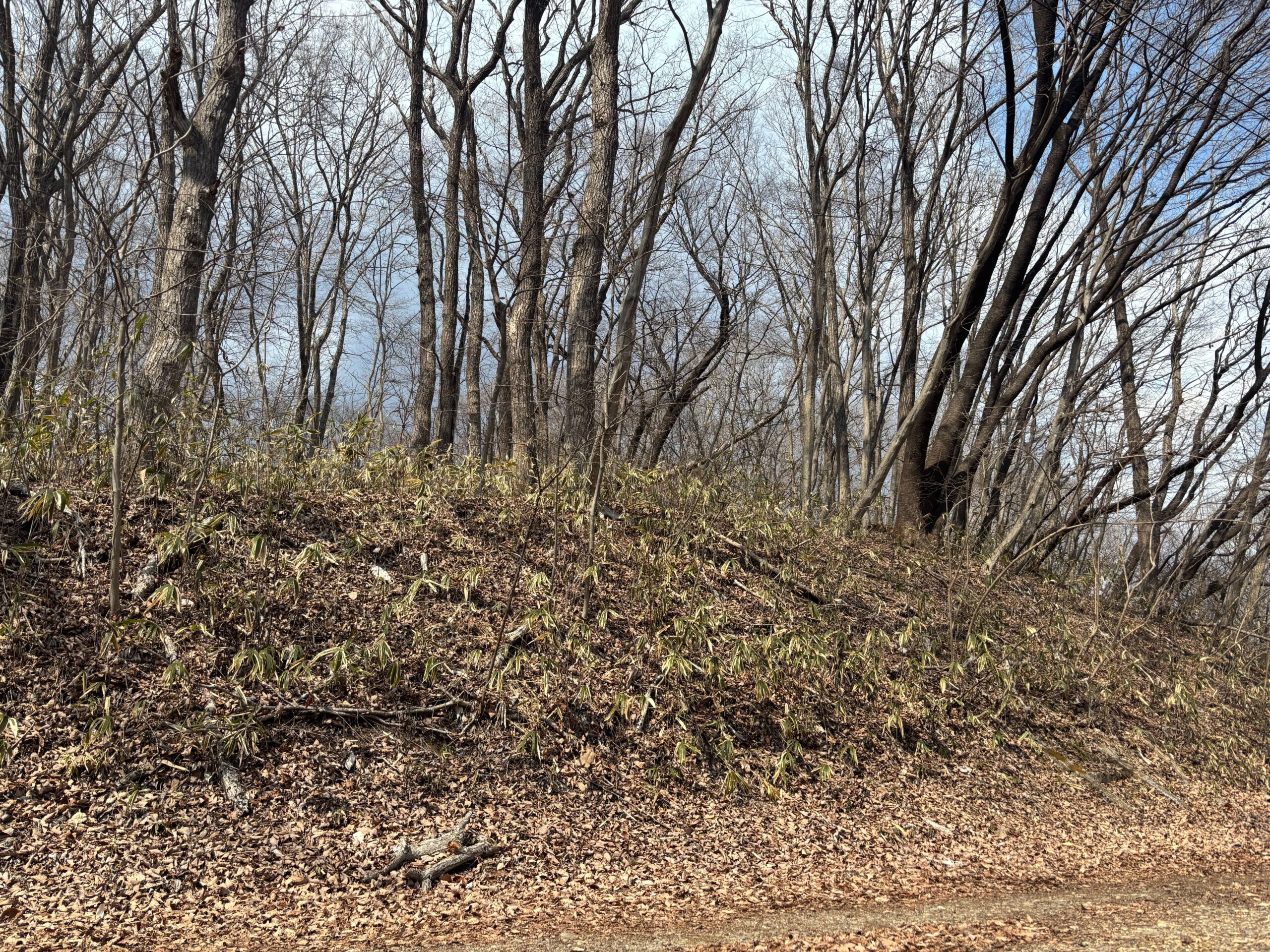 「場所すらわからない」｜行き帰りの道が険しい山林