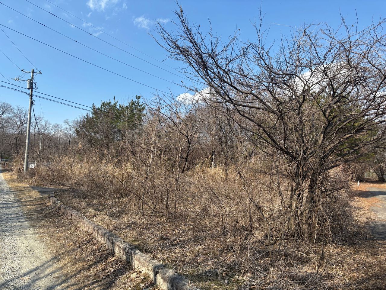 「家族から手放すように言われた」｜山林を切り開いた土地
