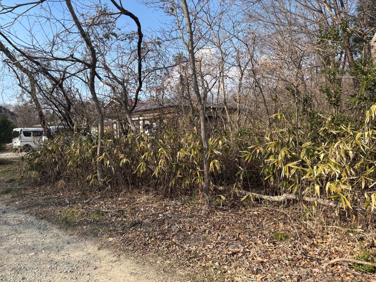 「自分の代で土地を手放したい」｜長年放置されていた相続地